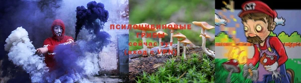 амф Бородино