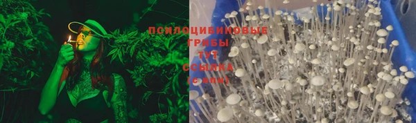 соль ск Бугульма