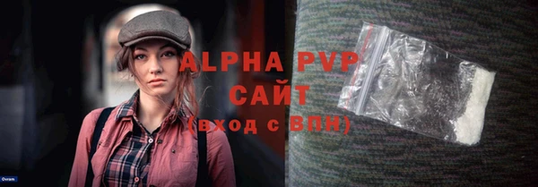 хмурый Ладушкин
