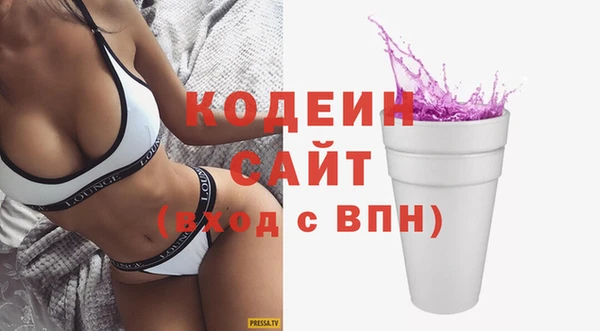 индика Лагань