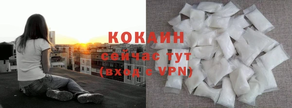 индика Лагань