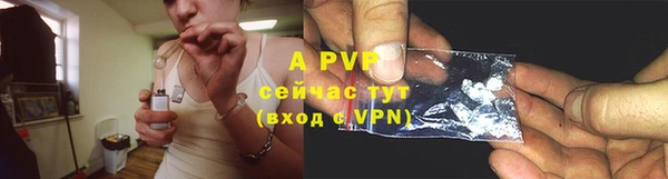 индика Лагань
