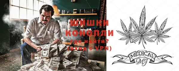 хмурый Ладушкин