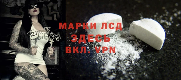 индика Лагань