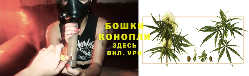 МАРИХУАНА SATIVA & INDICA  Вилюйск 